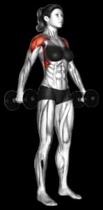Dumbbell Lateral Raise exercise thumbnail